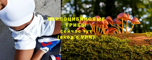 а пвп мука Майский