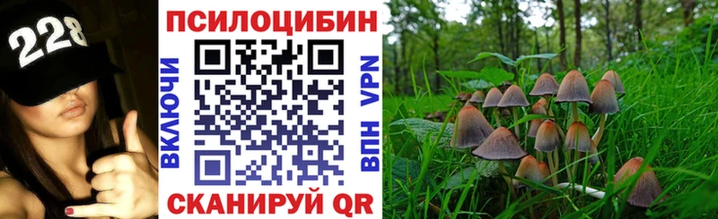 Галлюциногенные грибы Psilocybe  Рыбинск 