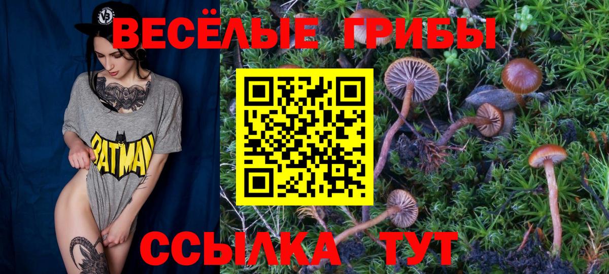 Галлюциногенные грибы Psilocybe Рыбинск