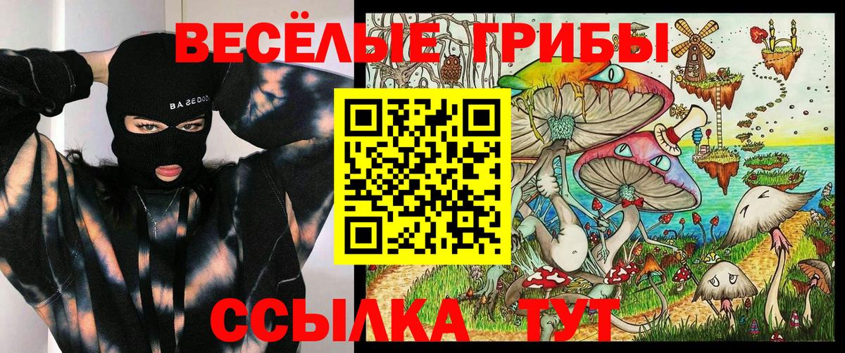 цены наркотик  Рыбинск  Псилоцибиновые грибы GOLDEN TEACHER 